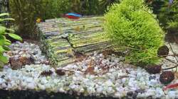 Aquarium RIO 180 am 27.08.2025