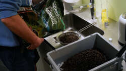 JBL Volcano waschen - lehmig