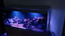 Mondphase von 30 Minuten gönn ich mir. Ergibt eine schöne Stimmung. Bessere Bilder