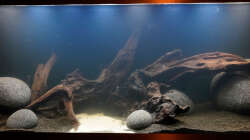 Beleuchtungstest. Das Daytime Beleuchtungssystem ist wohl teurer, aber der absolute