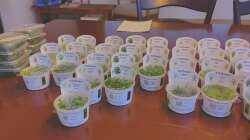 Alles InVitro gezogene Pflänzchen