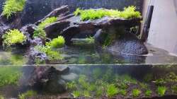 Becken wir sukzessive aufgefüllt