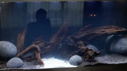 Das Becken in der Dunkeleinfahrphase