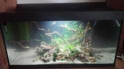 Aquarium 54er Scape / Wood-Stone