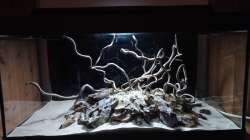 Dekoration im Aquarium 54er Scape / Wood-Stone