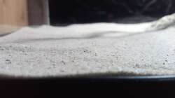 Dekoration im Aquarium 54er Scape / Wood-Stone