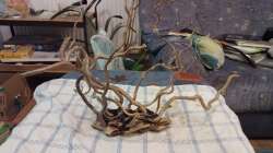 ...am Anfang sieht immer alles irgendwie seltsam aus