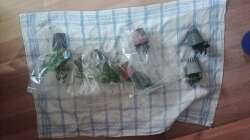 Dekoration im Aquarium 54er Scape / Wood-Stone