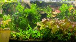 Becken im März 2022