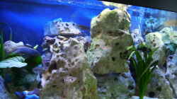 Aquarium Becken 4411