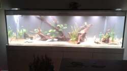 Aquarium Küchenseite