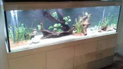 Aquarium Küchenseite