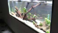 Aquarium Treppenhausseite