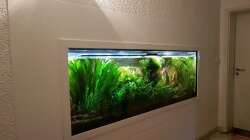 Aquarium Treppenhausseite