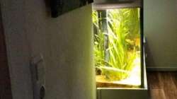 Aquarium Seitenansicht Küchenseite