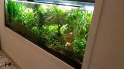 Aquarium Treppenhausseite