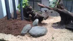 Aquarium Einrichtung