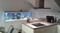 Aquarium Küchenseite