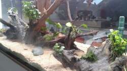 Aquarium Einrichtung