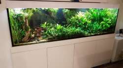 Aquarium Küchenseite