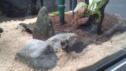 Aquarium Einrichtung