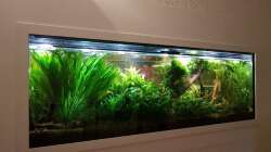 Aquarium Treppenhausseite