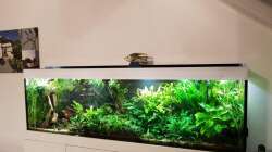 Aquarium Küchenseite