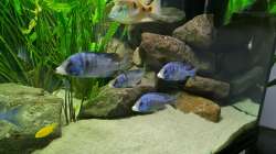 rechte Seite mit Steinaufbau 