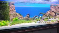 Aquarium Hauptansicht von Aliran