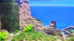 Moosmatte vor dem HMF