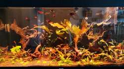 Sonnenaufgang im großen Becken 