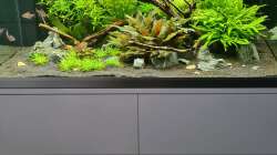 Aquarium Green Island