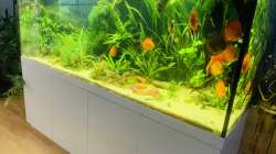 Aquarium 1000L Amazonas