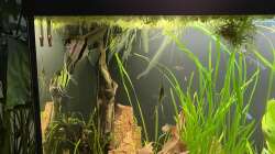 Aquarium Juwel Rio 450