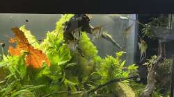 Aquarium Juwel Rio 450