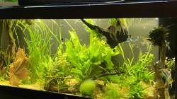Aquarium Juwel Rio 450