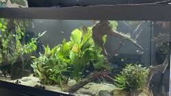 Aquarium Juwel Rio 450