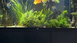 Aquarium Juwel Rio 450