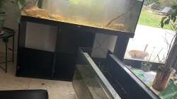 Aufbau und Befüllung 10/21