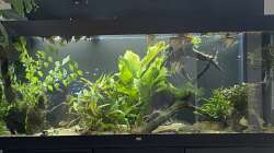 Aquarium Juwel Rio 450