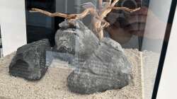 Einrichtung am 16.03.22