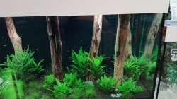 Aquarium Schaubecken / Hornbach Weserpark