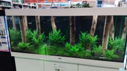 Aquarium Schaubecken / Hornbach Weserpark