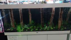 kurz nach dem bepflanzen des Becken´s...war eine ganz schöne Arbeit ^^