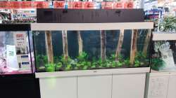 Aquarium Schaubecken / Hornbach Weserpark