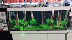 Aquarium Schaubecken / Hornbach Weserpark