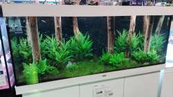 Aquarium Schaubecken / Hornbach Weserpark