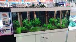 Aquarium Schaubecken / Hornbach Weserpark