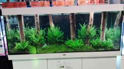 Aquarium Schaubecken / Hornbach Weserpark