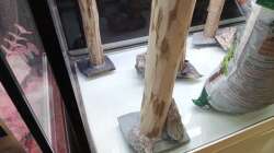 ...die Stämme wurde mit AQ-Silikon auf die Schieferplatten verklebt